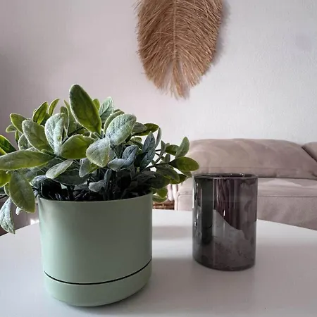 Casa Manifestado Appartement *